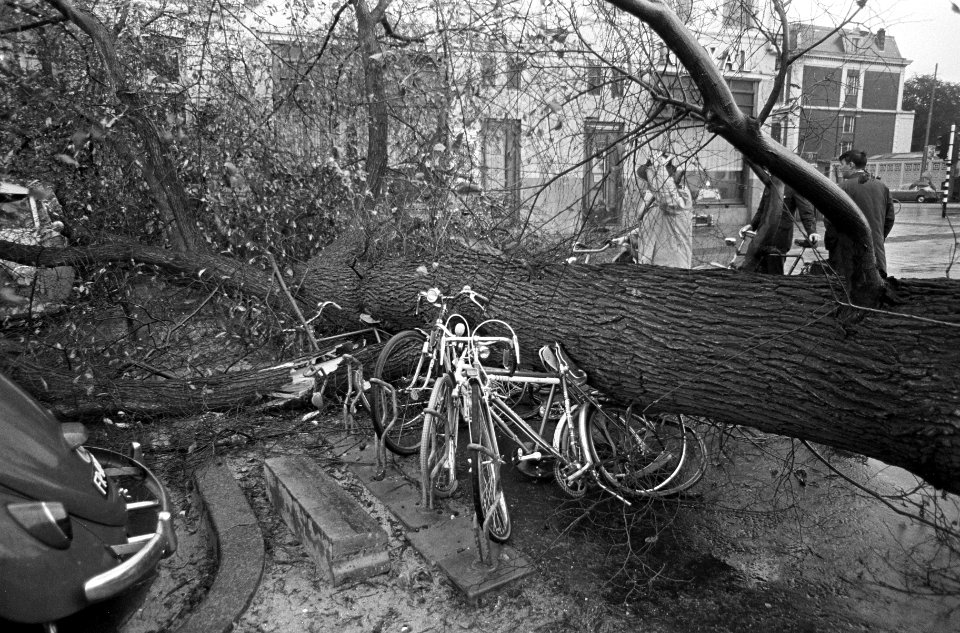 Herfststorm. Omgevallen bomen op Frederiksplein boven op fietsen, Bestanddeelnr 920-7901