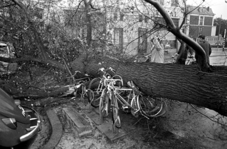 Herfststorm. Omgevallen bomen op Frederiksplein boven op fietsen, Bestanddeelnr 920-7901