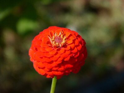 Beauty detail gradient