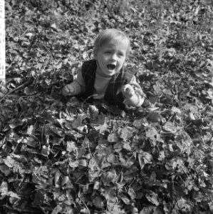 Herfst, jong en oud genieten in het Kralingse Bos (Rotterdam), meisje tussen bla, Bestanddeelnr 918-2764