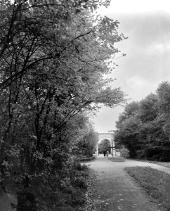 Herfst in het Amsterdamse Bos, Bestanddeelnr 907-4065