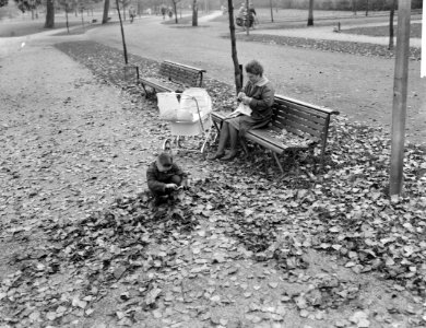 Herfststemming in Amsterdam. In het Vondelpark, Bestanddeelnr 913-1151