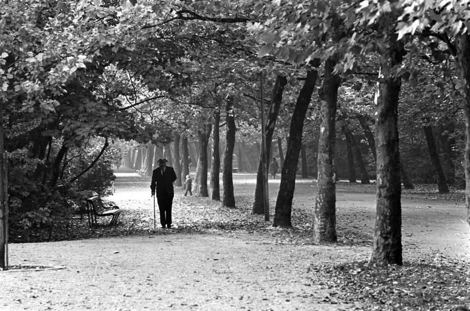 Herfst, parken, Bestanddeelnr 919-6181