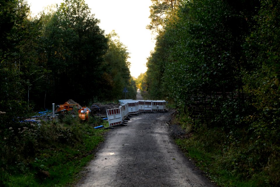 Herrenwald Stadtallendorf 2020-10-07 46