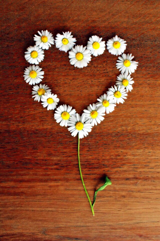 Love heart shaped romantic