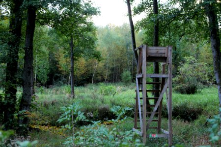 Herrenwald Stadtallendorf 2020-10-07 42