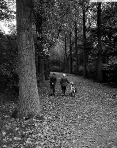 Herfst in het Kralingse Bos te Rotterdam, mannetjes lopen in het bos, Bestanddeelnr 911-6527