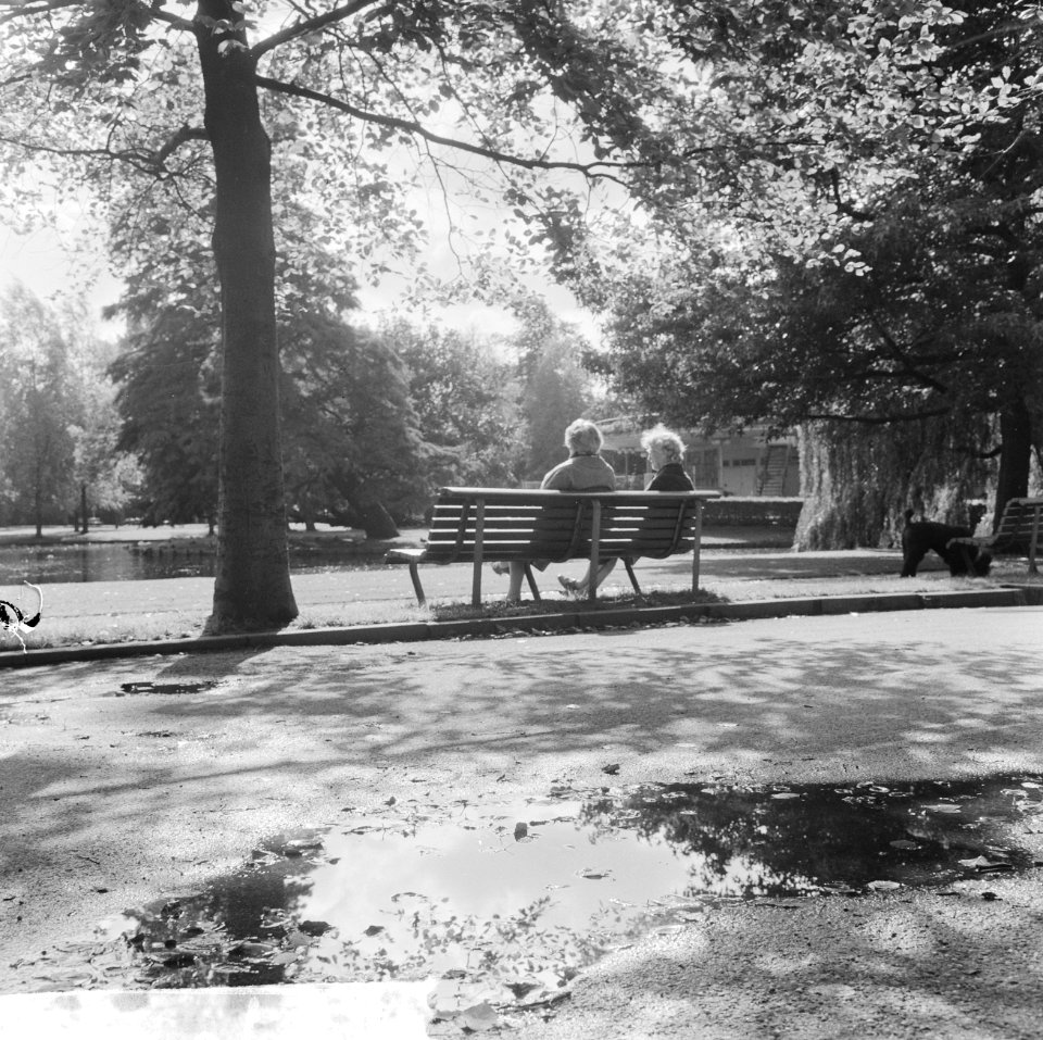 Herfst begonnen, mensen in park genieten van de zon, Bestanddeelnr 916-9027