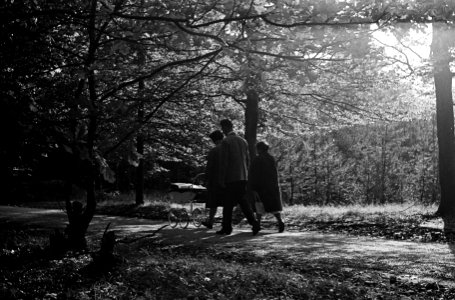 Herfst 1963, Bestanddeelnr 915-6152