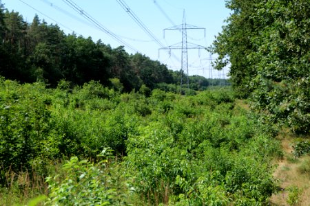 Herrensee, Lange-Damm-Wiesen und Barnim-Hänge 2020-08-05 37