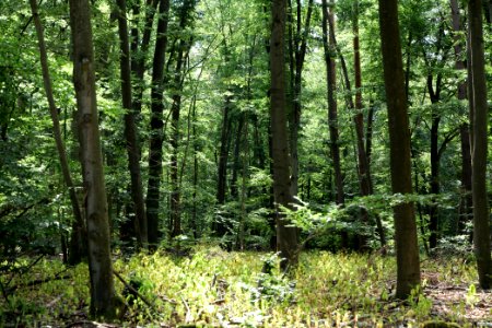 Herrensee, Lange-Damm-Wiesen und Barnim-Hänge 2020-08-05 46