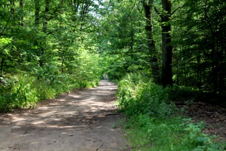 Herrensee, Lange-Damm-Wiesen und Barnim-Hänge 2020-08-05 52