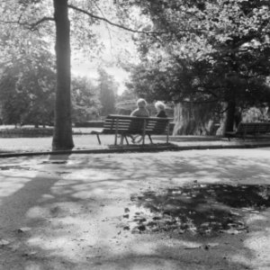 Herfst begonnen, mensen in park genieten van de zon, Bestanddeelnr 916-9028