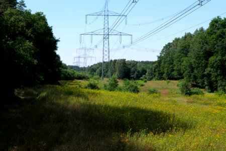Herrensee, Lange-Damm-Wiesen und Barnim-Hänge 2020-08-05 43
