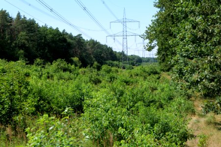Herrensee, Lange-Damm-Wiesen und Barnim-Hänge 2020-08-05 35