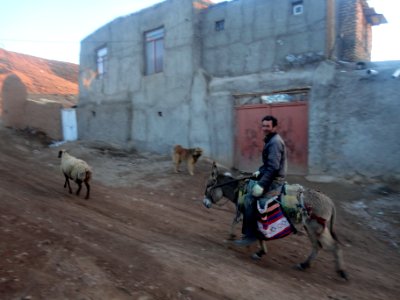 Herd of goats - Ma'dan village - Nishapur 1 photo