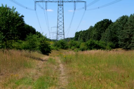 Herrensee, Lange-Damm-Wiesen und Barnim-Hänge 2020-08-05 27