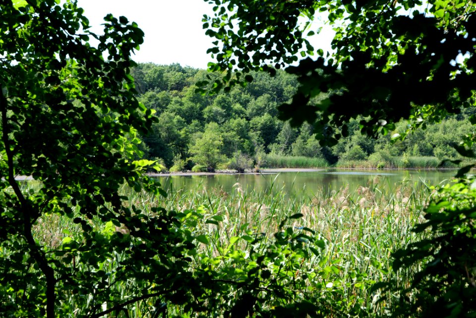 Herrensee Strausberg 2020-08-05 49