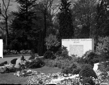 Herdenking 4 mei op Nieuwe Oosterbegraafplaats, Bestanddeelnr 903-3588