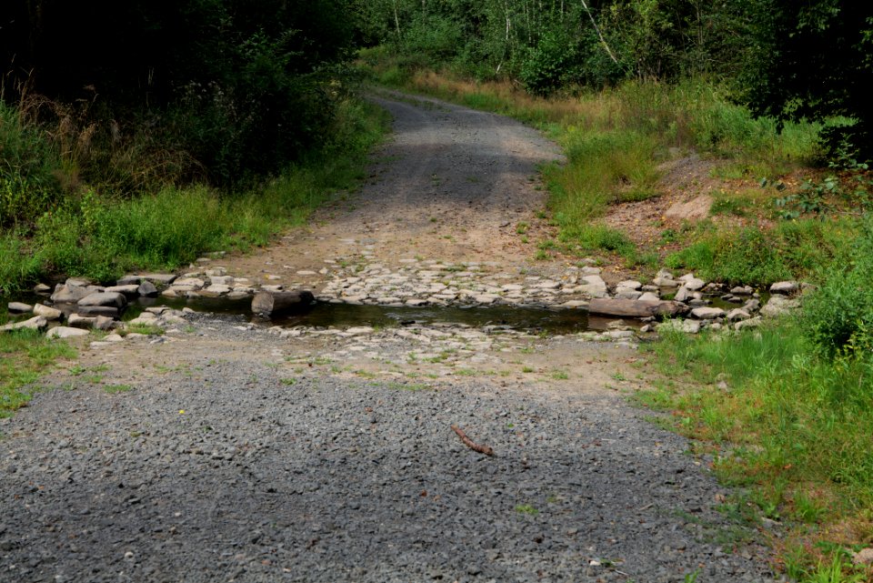 Herrenwald Stadtallendorf 2020-08-21 59
