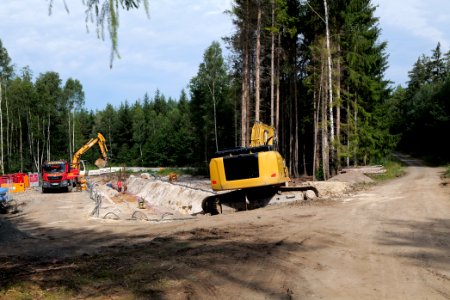 Herrenwald Stadtallendorf 2020-08-21 25
