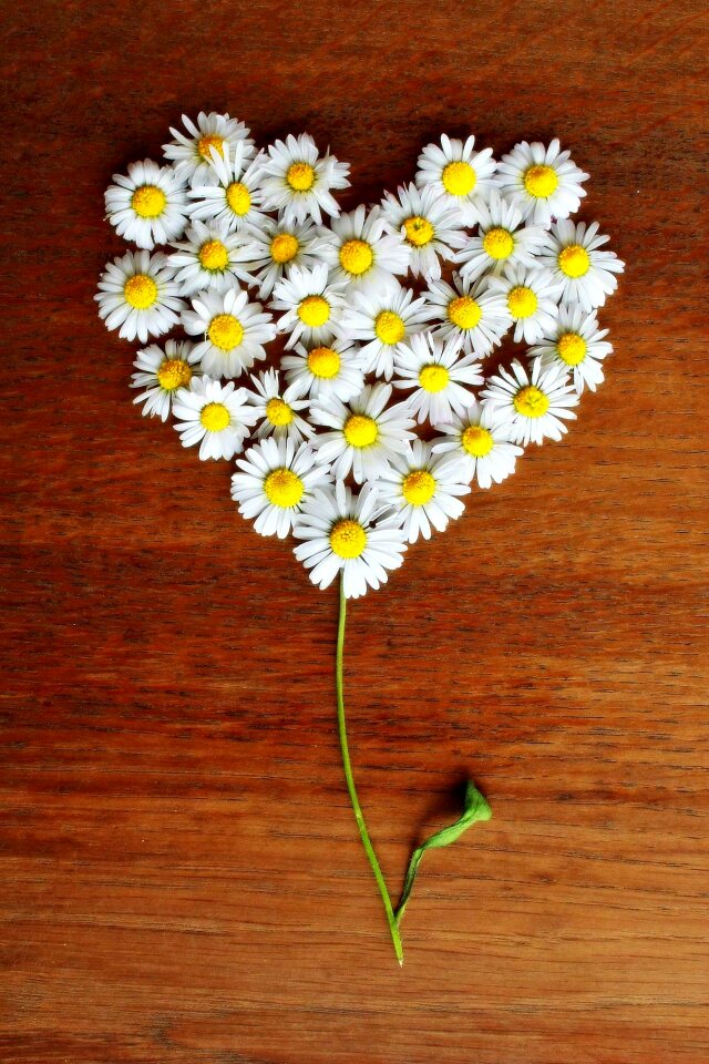 Love heart shaped romantic
