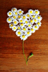 Love heart shaped romantic photo