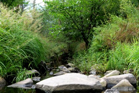 Herrenwald Stadtallendorf 2020-08-21 61