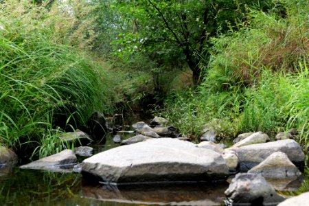 Herrenwald Stadtallendorf 2020-08-21 62