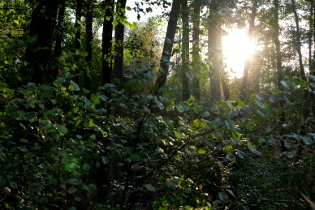 Herrenwald Stadtallendorf 2020-10-07 28