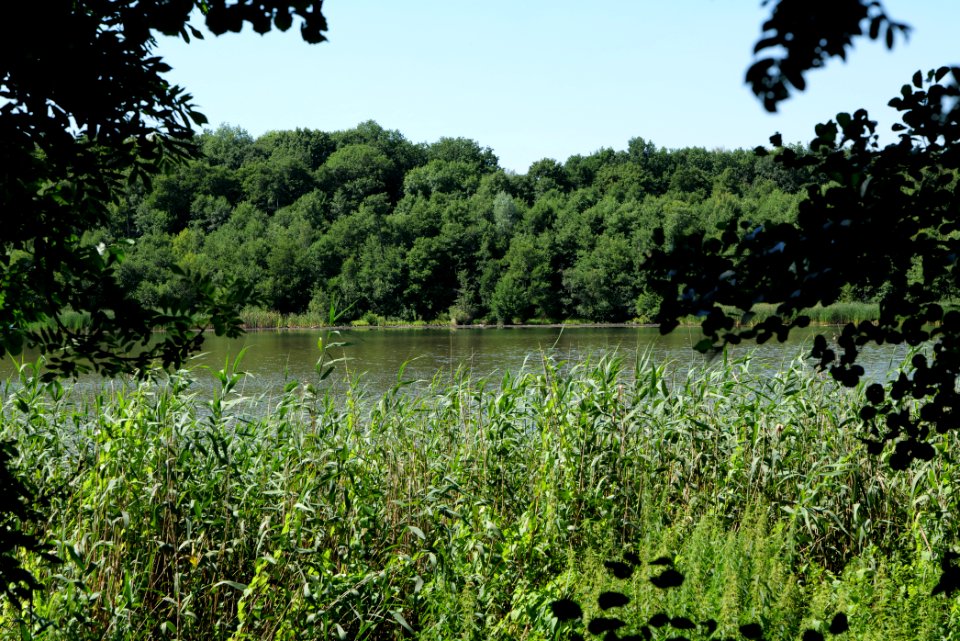 Herrensee Strausberg 2020-08-05 42