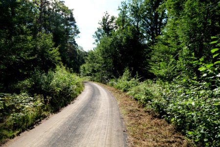 Herrenwald Stadtallendorf 2020-08-21 04