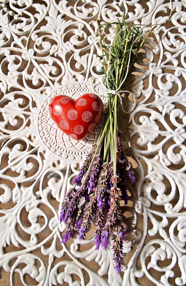 White lavender purple