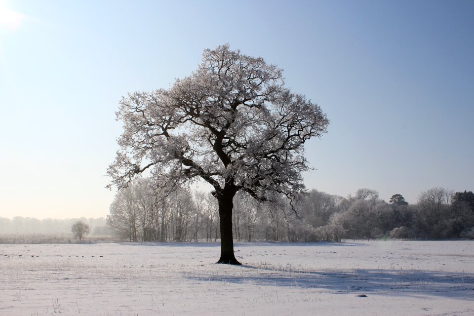 Landscape cold blue