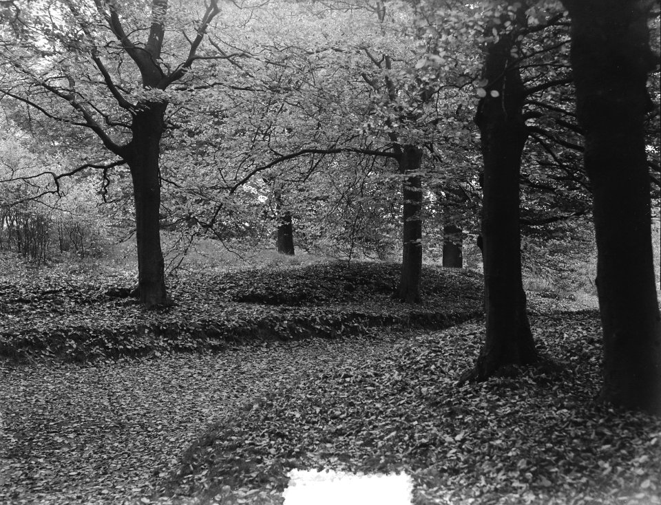 Herfstbosplaatjes om Hilversum, Bestanddeelnr 906-0571