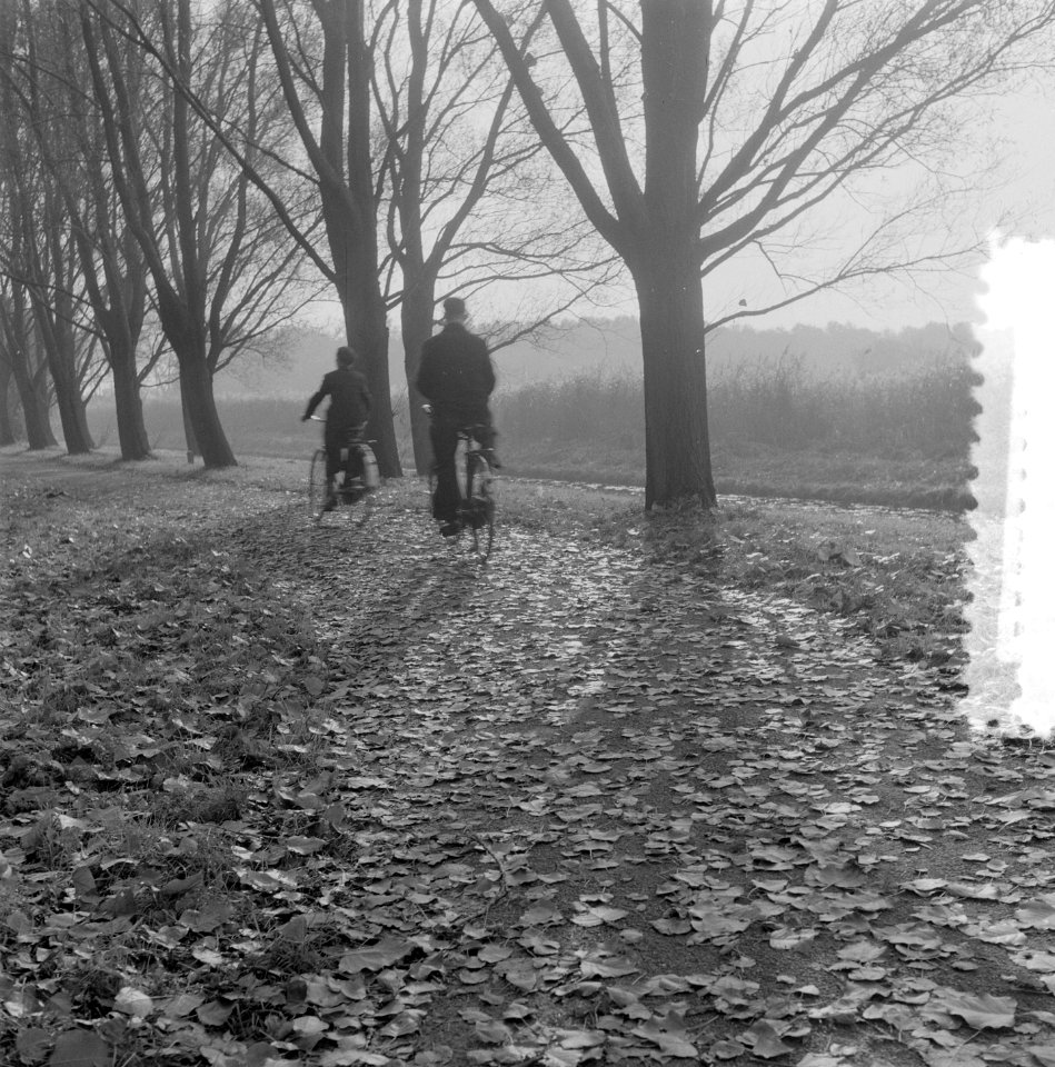 Herfstplaatjes Amsterdam. Amsterdamse Bos. Fietsers, Bestanddeelnr 907-4177
