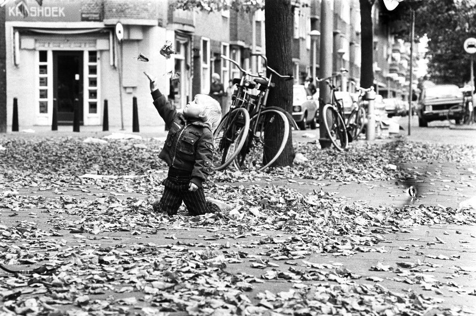 Herfstplaatje in Amsterdam, Bestanddeelnr 929-9117