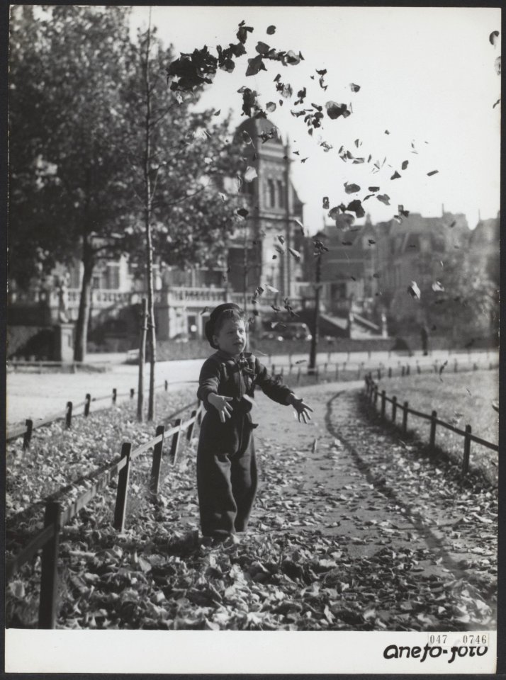 Herfst, parken, Bestanddeelnr 047-0746
