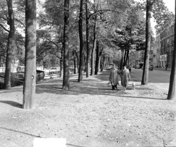 Herfst langs Stadhouderskade, Bestanddeelnr 905-9875
