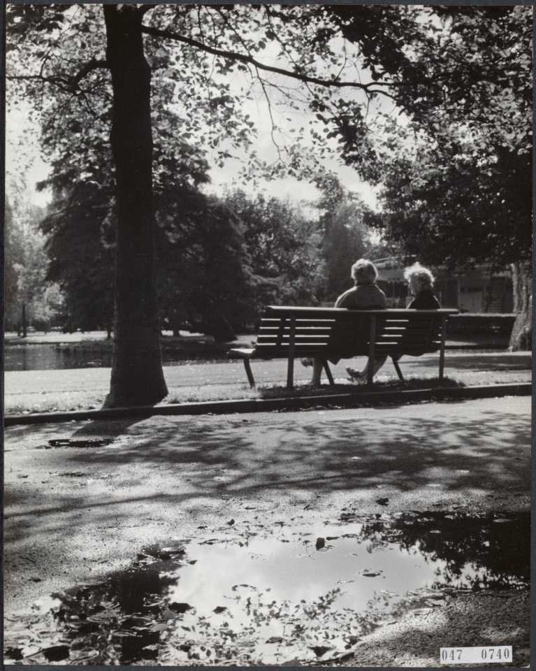 Herfst, parken, Bestanddeelnr 047-0740