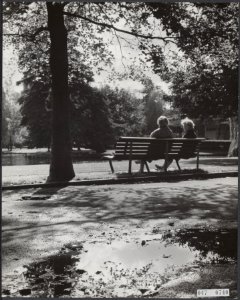 Herfst, parken, Bestanddeelnr 047-0740