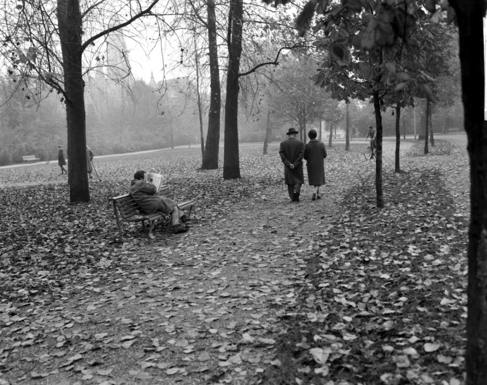 Herfststemming in Amsterdam. In het Vondelpark, Bestanddeelnr 913-1153