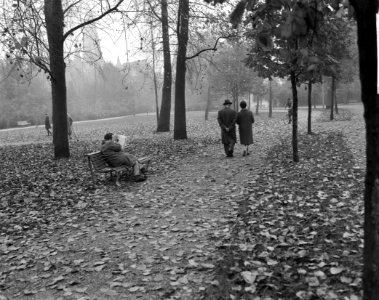 Herfststemming in Amsterdam. In het Vondelpark, Bestanddeelnr 913-1153