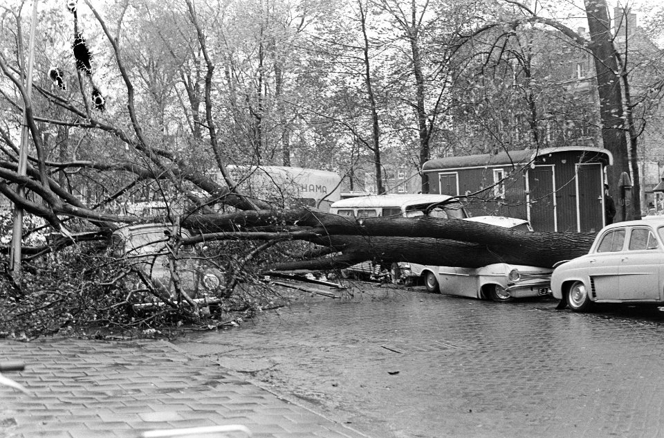 Herfststorm. Autos beschadigd door omgevallen bomen op Waterlooplein, Bestanddeelnr 920-7900