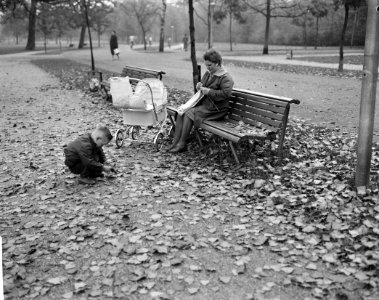 Herfststemming in Amsterdam. In het Vondelpark, Bestanddeelnr 913-1152