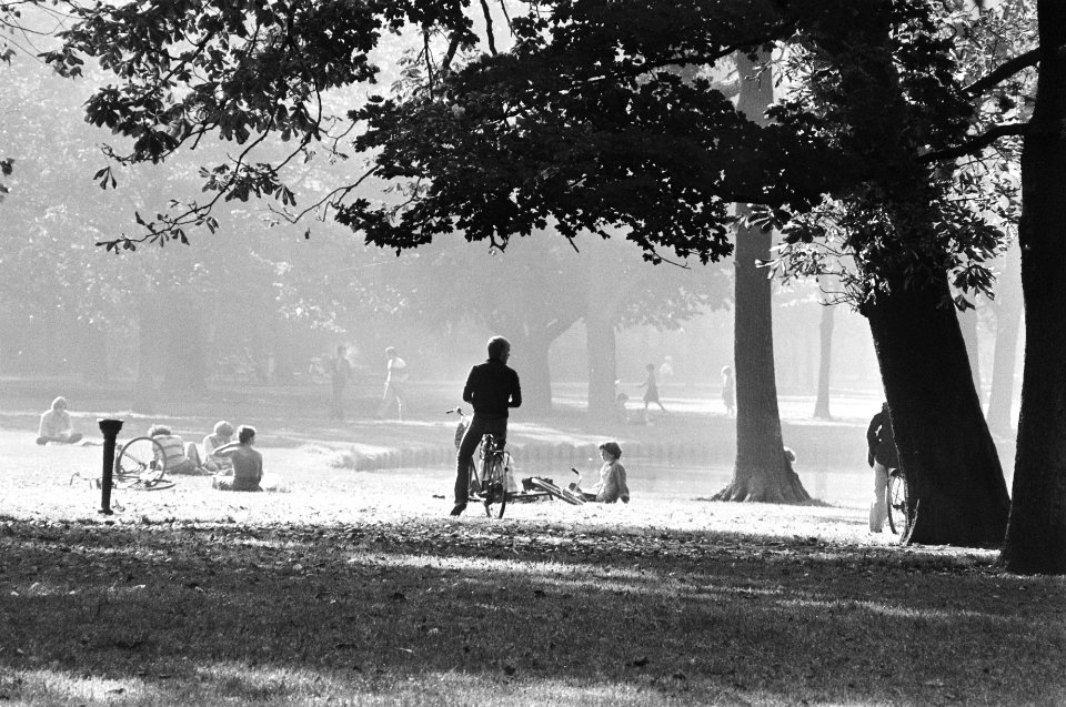 Herfst in Vondelpark, Bestanddeelnr 929-9425