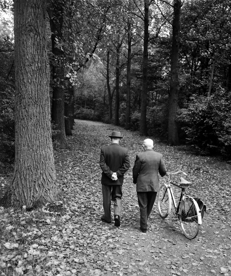 Herfst in het Kralingse Bos te Rotterdam, mannetjes lopen in het bos, Bestanddeelnr 911-6528