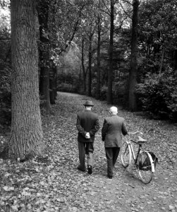 Herfst in het Kralingse Bos te Rotterdam, mannetjes lopen in het bos, Bestanddeelnr 911-6528