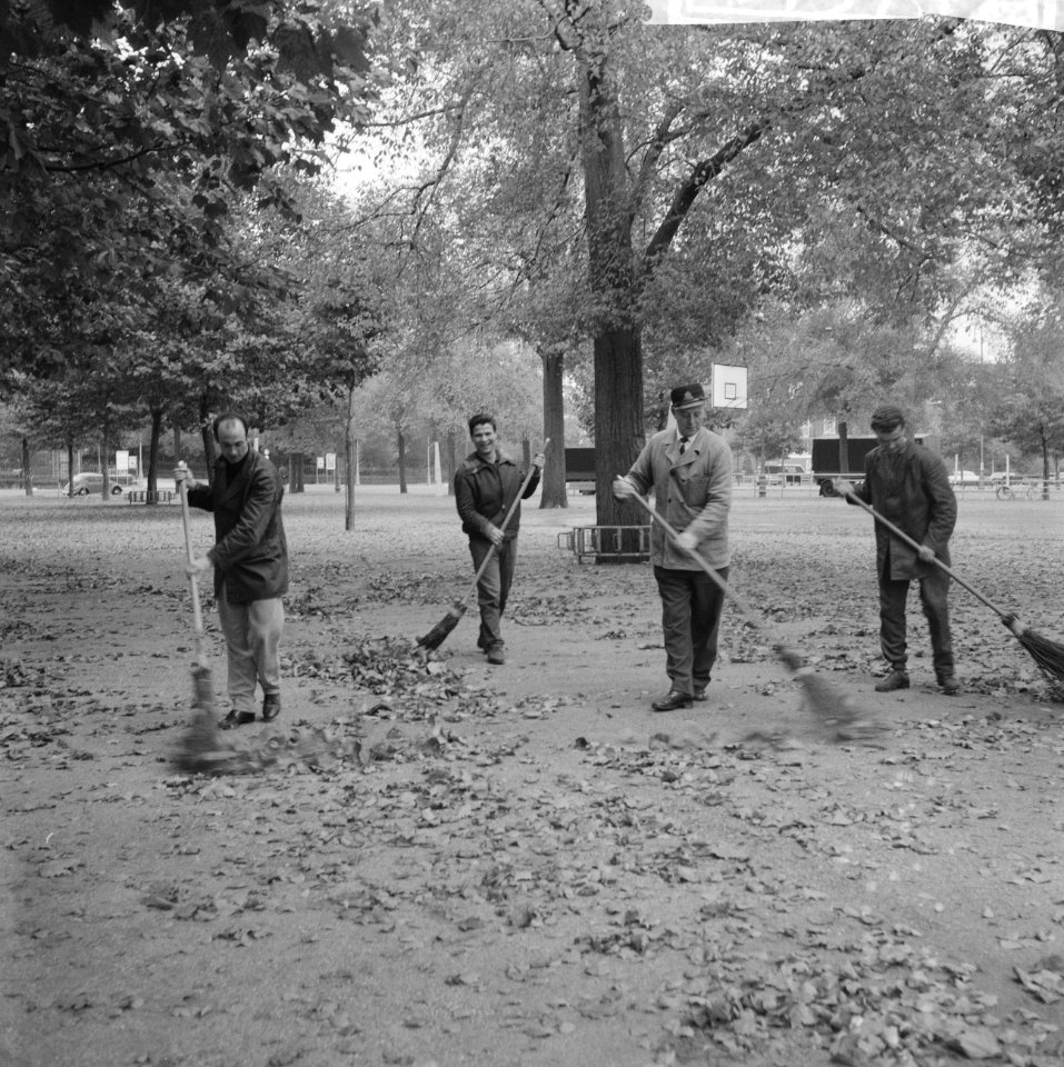 Herfst 1962 in Vondelpark, Bestanddeelnr 914-3747