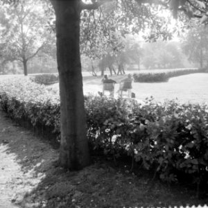 Herfst in Vondelpark, Bestanddeelnr 910-7262